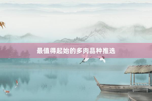 最值得起始的多肉品种推选