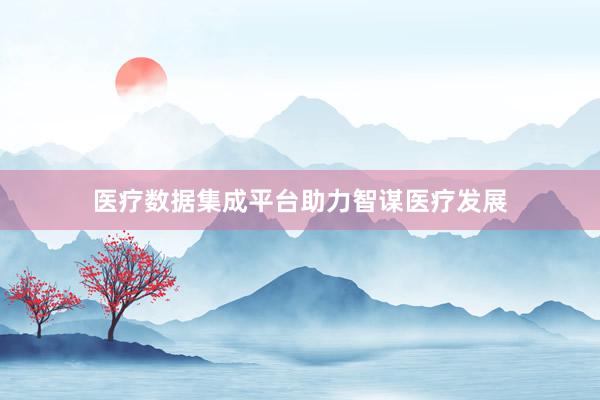 医疗数据集成平台助力智谋医疗发展