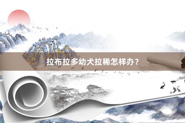 拉布拉多幼犬拉稀怎样办？